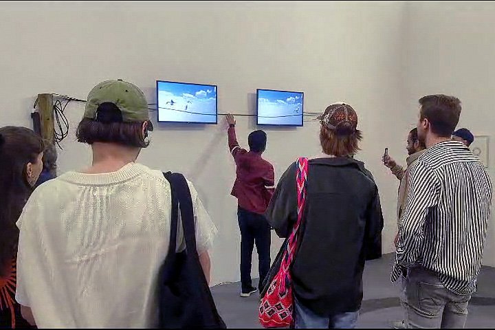 Visitors interacting with the Birds on a Wire installation