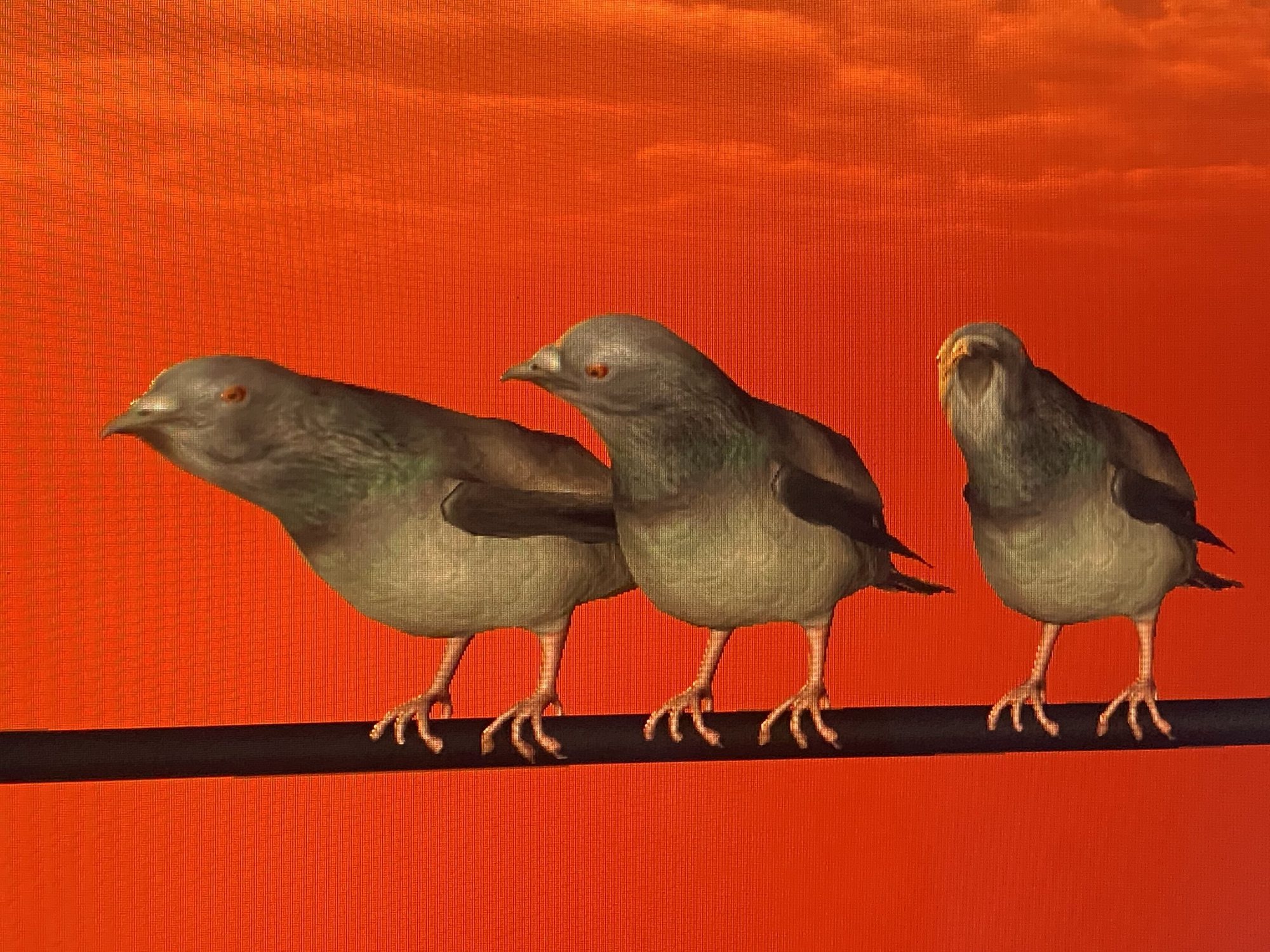 Three virtual birds perched on a wire against an orange sky