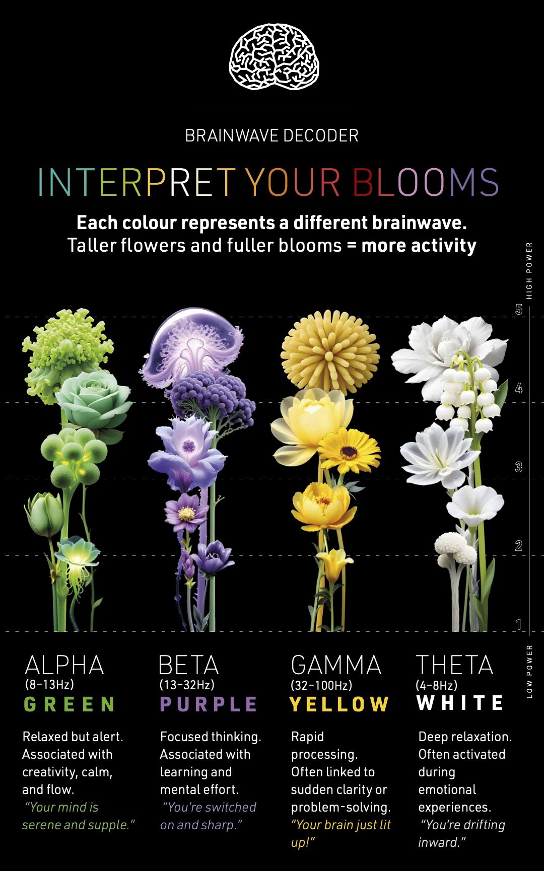 The Brainwave Decoder: a guide explaining what each flower colour and height says about a visitor's brainwaves
