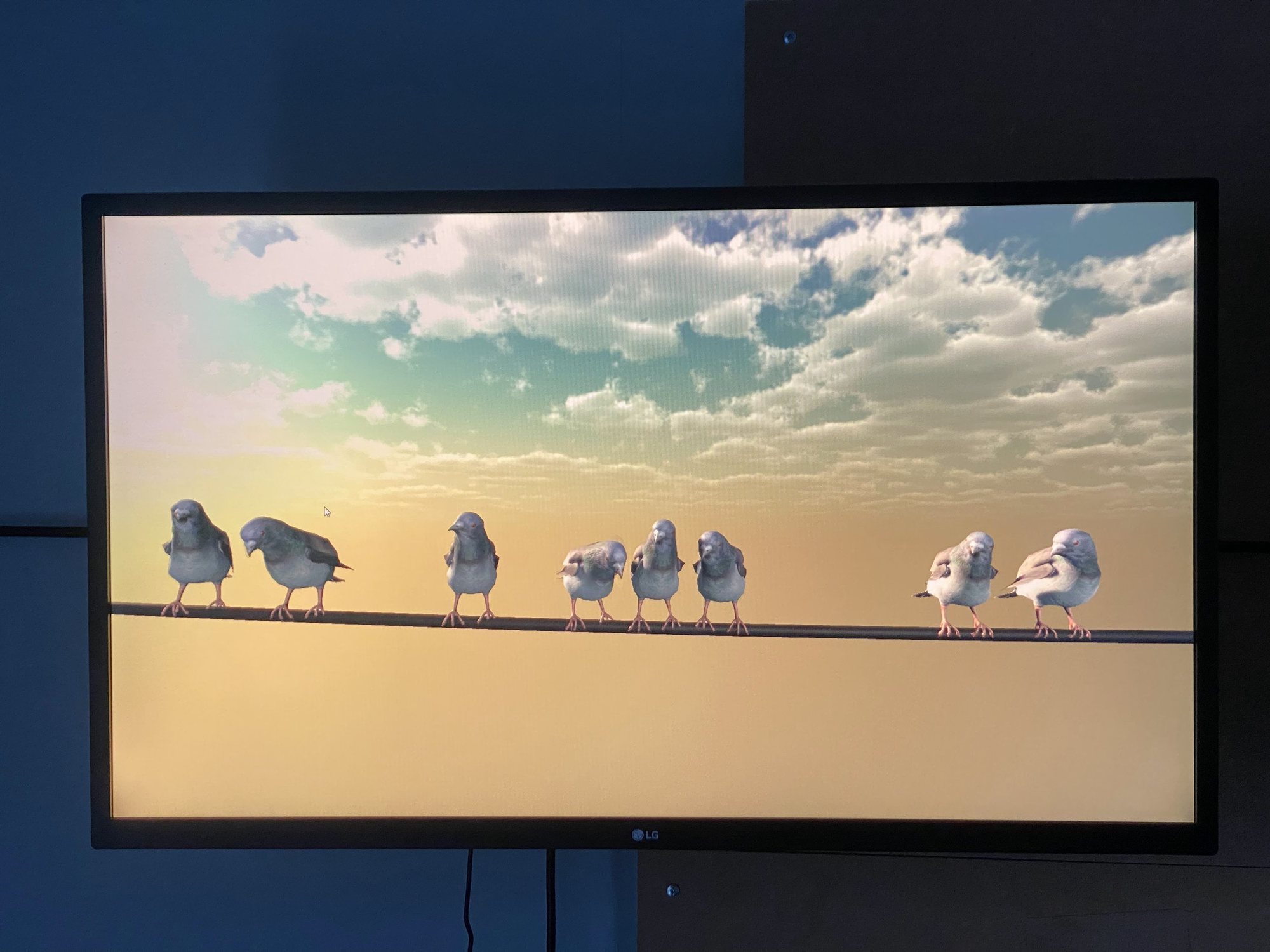 Screen showing a row of virtual birds on a wire under a cloudy sky